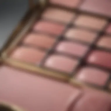 Opulent Blush Light Pink Eyeshadow Palette