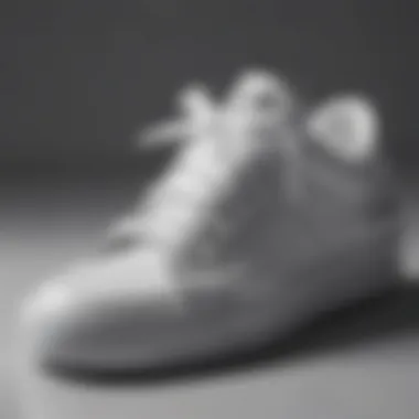 Detailed Perfection Close-up of white sneaker detailing
