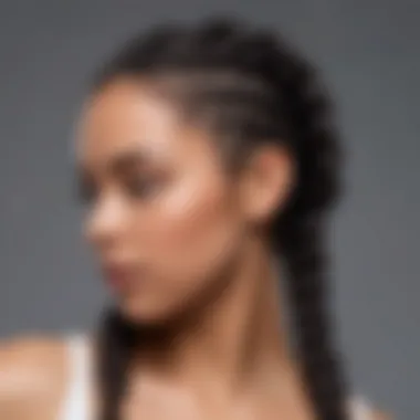 Fusion Braid and Twist Protective Style Innovative protective hairstyle featuring a combination of braids and twists
