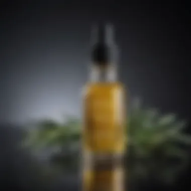 Revitalizing Rosemary Oil Elixir Rosemary Oil Dropper Bottle