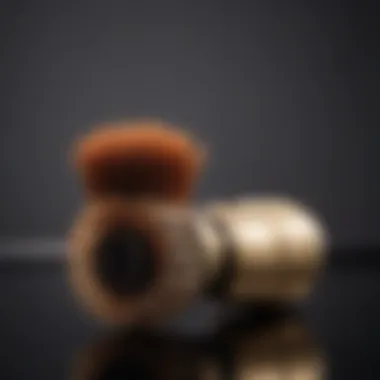 Exquisite Design of Royale 3 in 1 Blower Brush Luxurious Royale 3 in 1 Blower Brush design