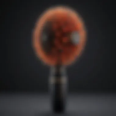 Innovative Features of Royale 3 in 1 Blower Brush User-friendly features of Royale Blower Brush