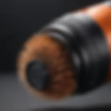 Cutting-Edge Technology in Royale 3 in 1 Blower Brush Close-up of advanced technology in Royale Blower Brush