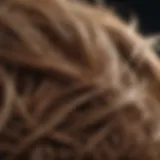 Close-up of healthy hair strands interwoven with nature