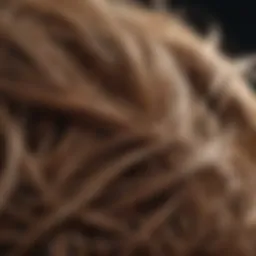 Close-up of healthy hair strands interwoven with nature