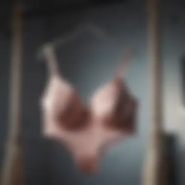 Trendy Lingerie Collection Displayed on Elegant Hanger Fashionable lingerie collection on hanger