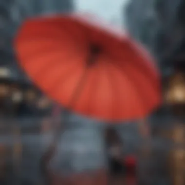 Fashionable Umbrella Accessory Accessorized Umbrella in Rain