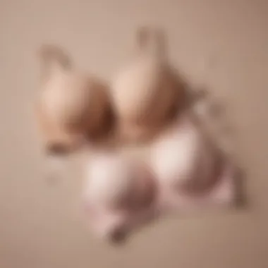 Tale of Two Bras Comparative flat lay of t-shirt bra and regular bra in neutral tones