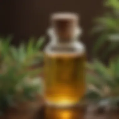 Tea Tree Oil for Soothing Scalp Psoriasis Symptoms