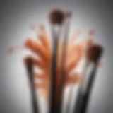 A variety of brushes for liquid makeup showcasing different shapes