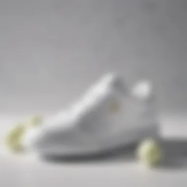 Affordable All-White Tennis Shoe Brands Various affordable brands of all-white tennis shoes displayed