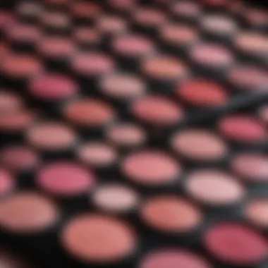 Palette of pink eyeshadow shades showcasing different textures