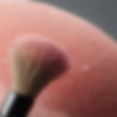 Close-up of soft bristles on a blusher brush