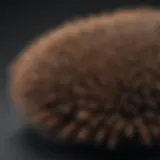 Close-up view of Denman brush bristles showcasing unique design