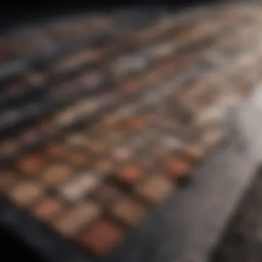 Runway Impact Urban Decay eyeshadow palette on runway