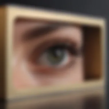 Elegant Magnetic Lashes in Luxurious Packaging Elegant Magnetic Lashes in Luxurious Packaging