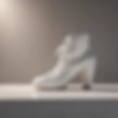 Luxurious White Footwear